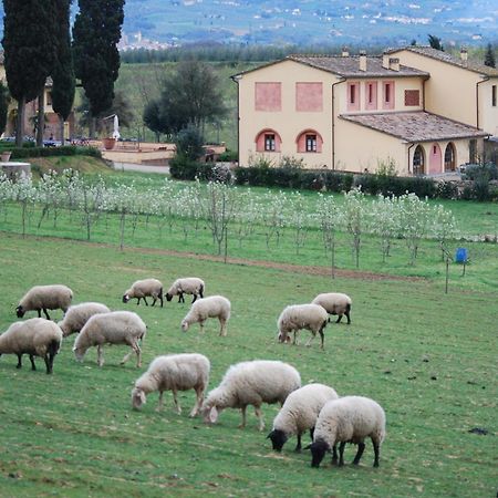 Agriturismo Fattoria Rozzalupi Черето Гуиди Екстериор снимка