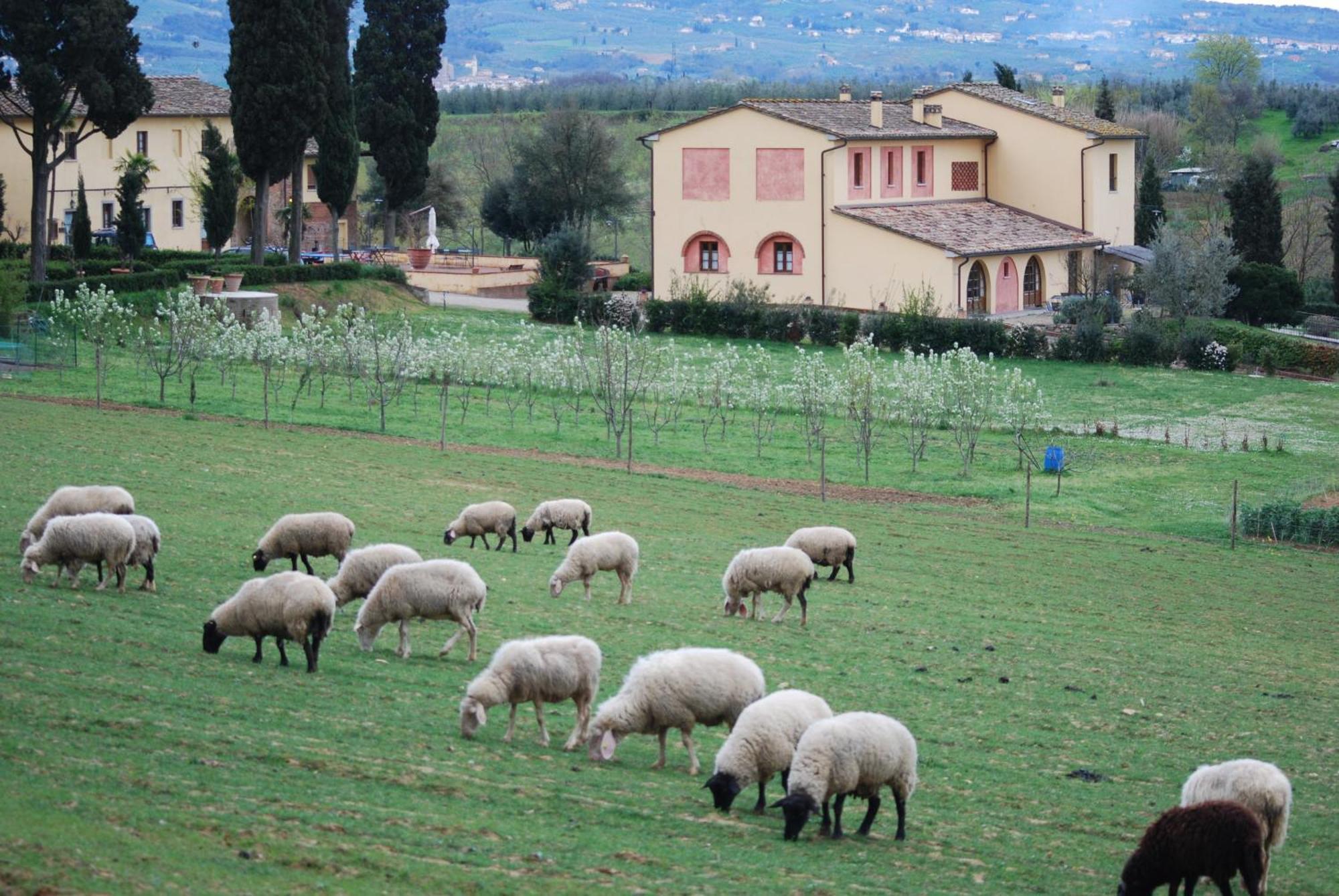 Agriturismo Fattoria Rozzalupi Черето Гуиди Екстериор снимка