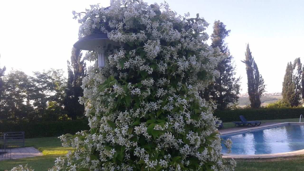 Agriturismo Fattoria Rozzalupi Черето Гуиди Екстериор снимка